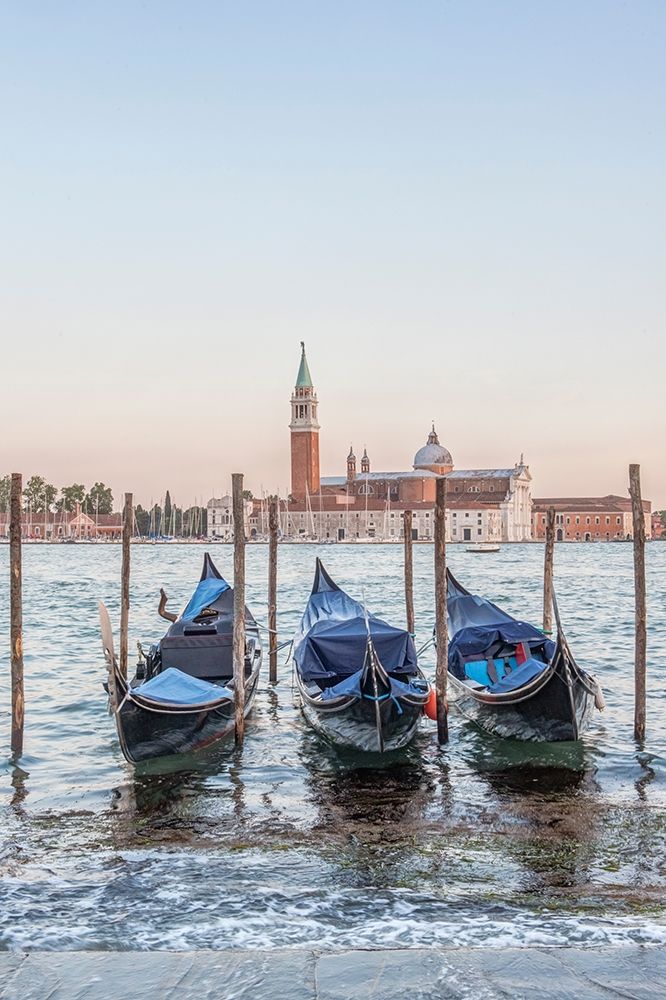 Italy-Venice Gondolas on the waterfront with San Giorgio Maggiore Church in the background